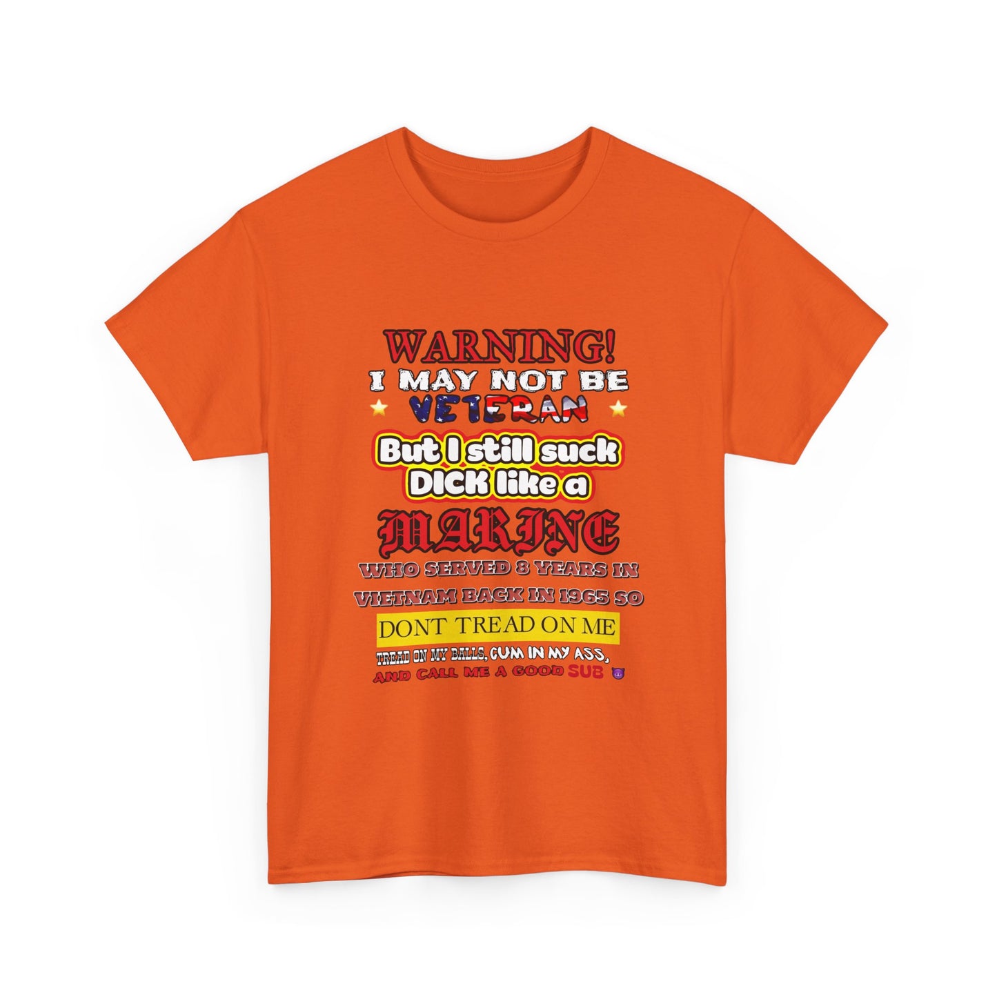 WARNING! Horny Veteran Graphic T-Shirt
