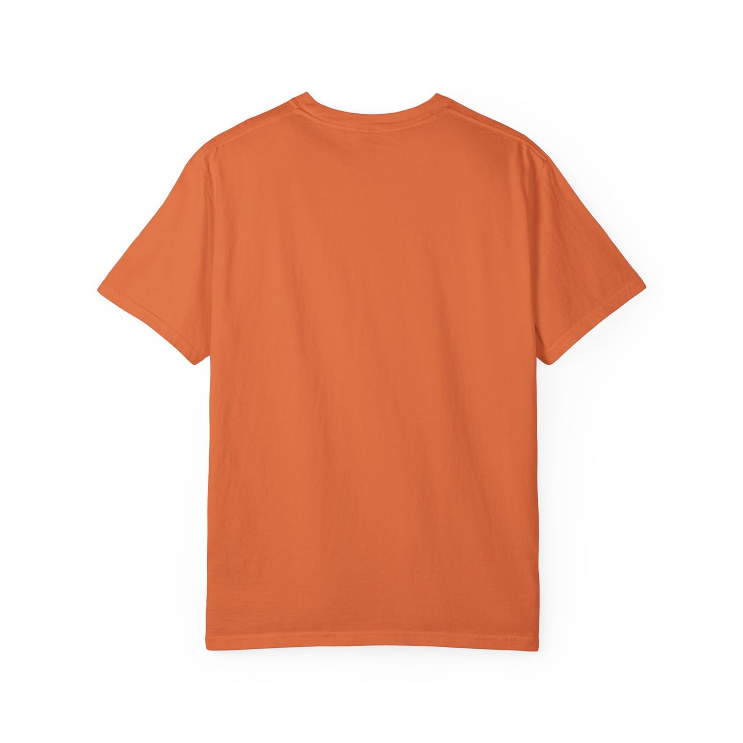 WARNING! Horny Veteran Graphic T-Shirt