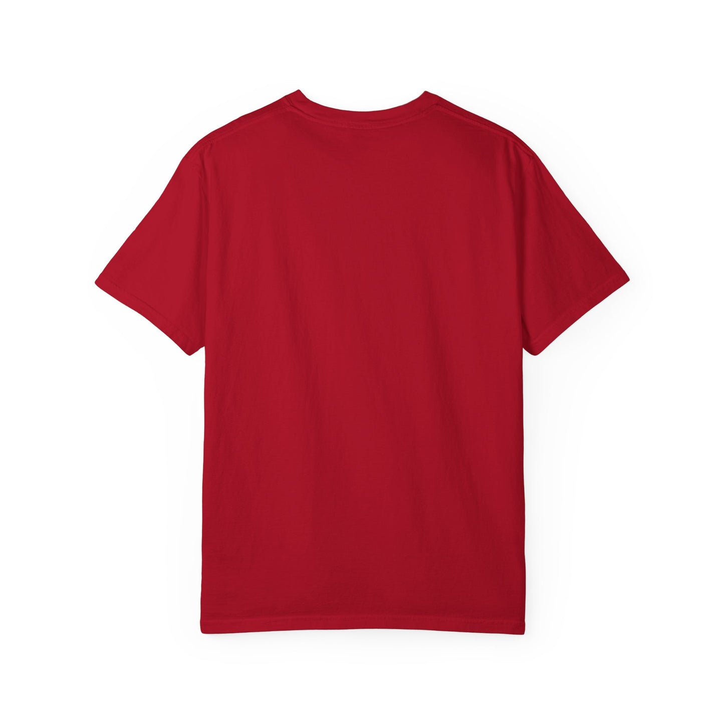 Sodomite Cover Art T-Shirt